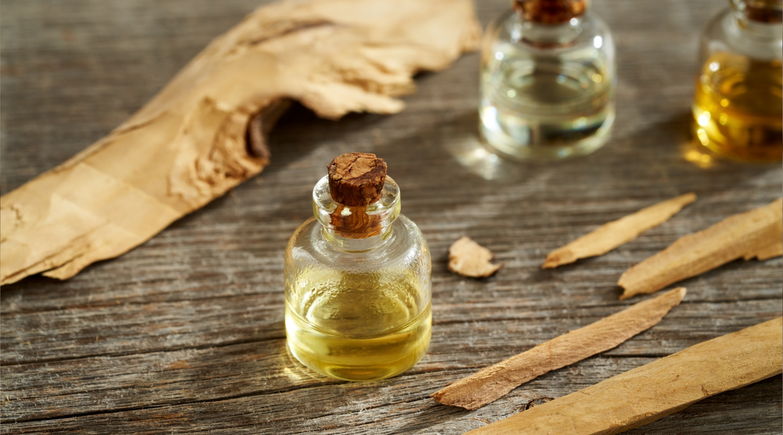 Indian Sandalwood: The Timeless Essence of Fragrance and Ritual